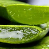 Derfor bør aloe vera være en fast del af din hudplejerutine