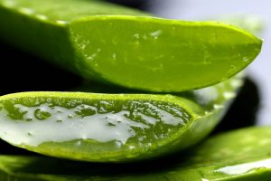 Derfor bør aloe vera være en fast del af din hudplejerutine
